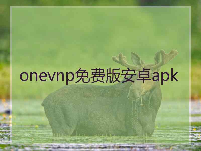 onevnp免费版安卓apk