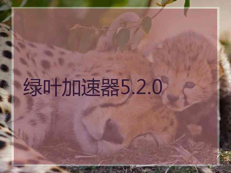 绿叶加速器5.2.0