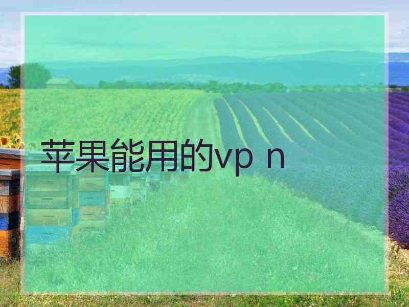 苹果能用的vp n