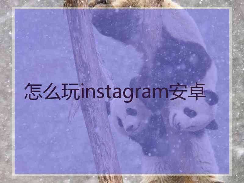 怎么玩instagram安卓