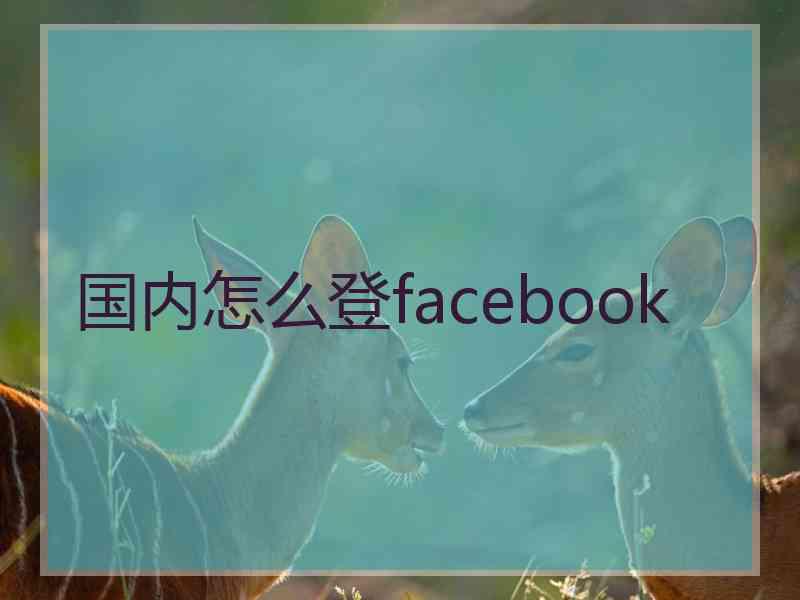 国内怎么登facebook