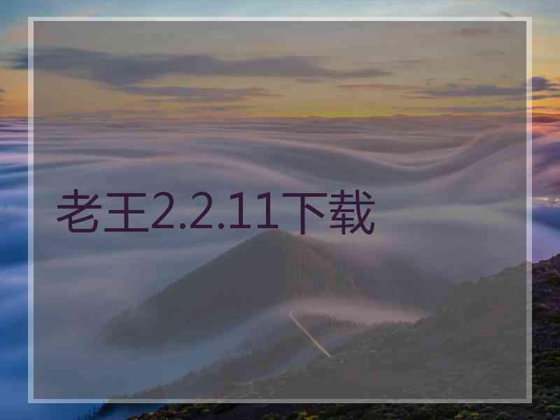 老王2.2.11下载