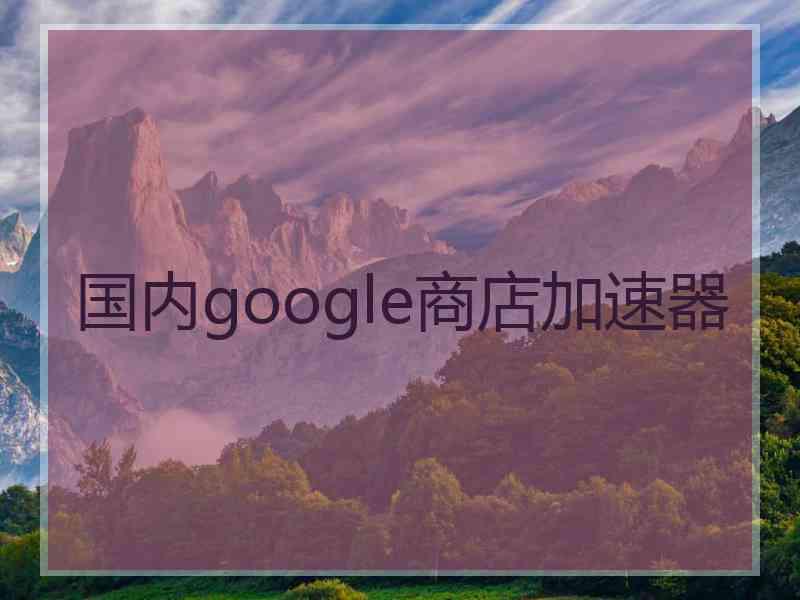 国内google商店加速器