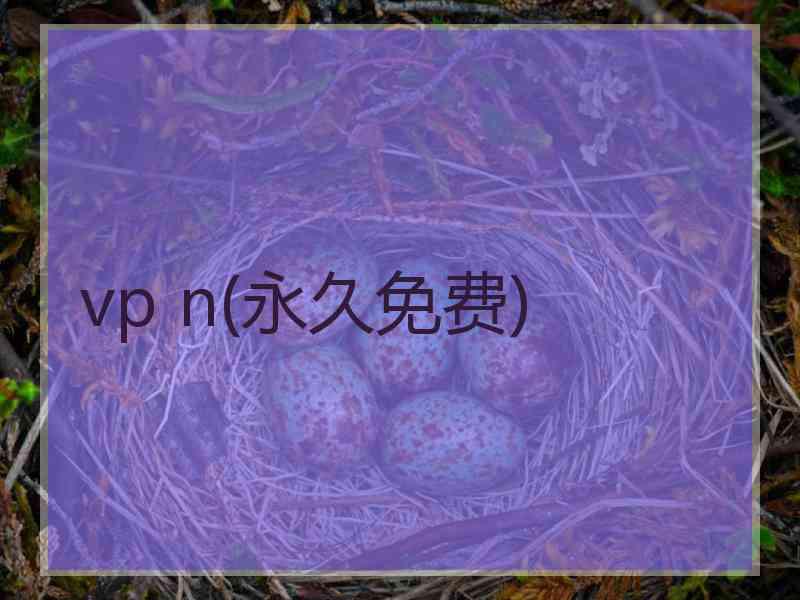 vp n(永久免费)