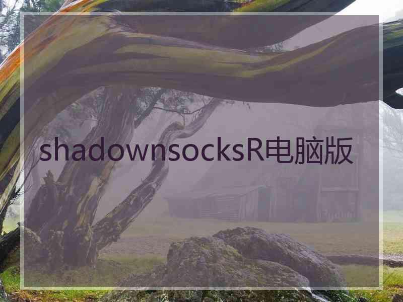 shadownsocksR电脑版