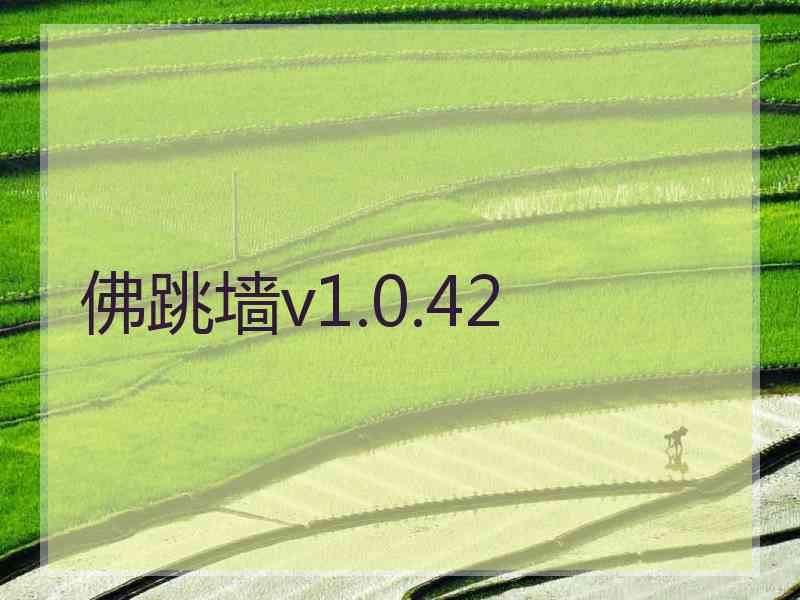 佛跳墙v1.0.42