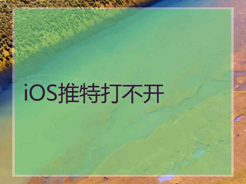 iOS推特打不开