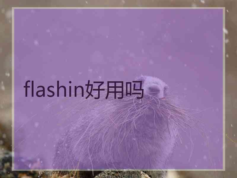 flashin好用吗