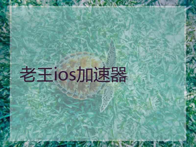 老王ios加速器