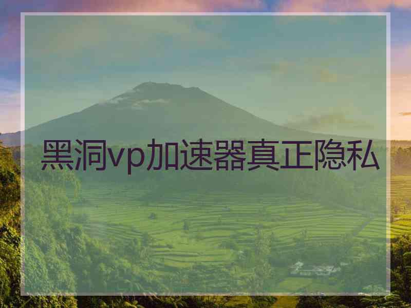 黑洞vp加速器真正隐私