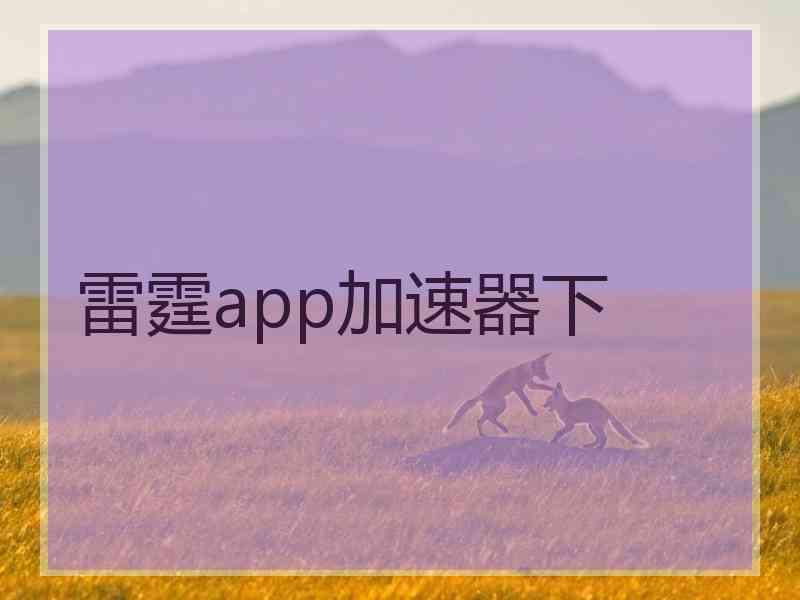 雷霆app加速器下