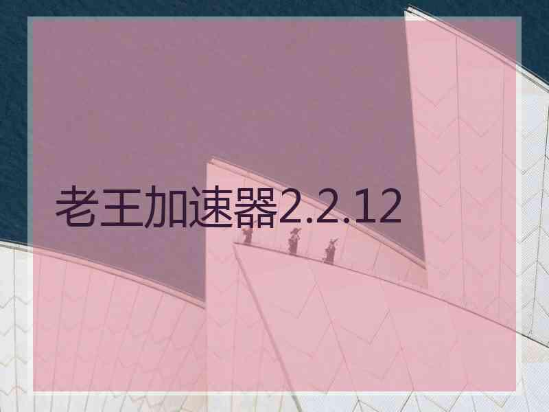 老王加速器2.2.12