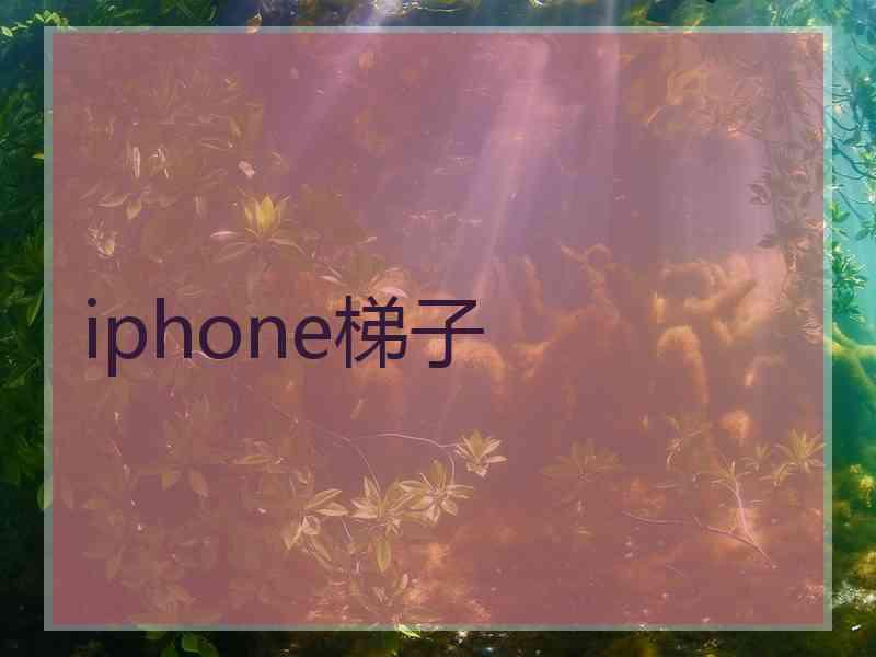 iphone梯子