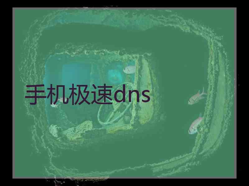 手机极速dns