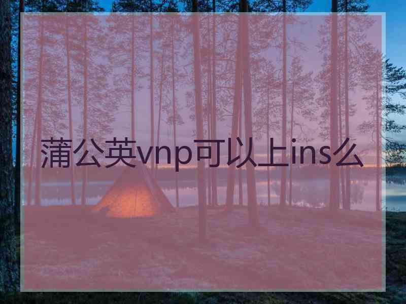 蒲公英vnp可以上ins么