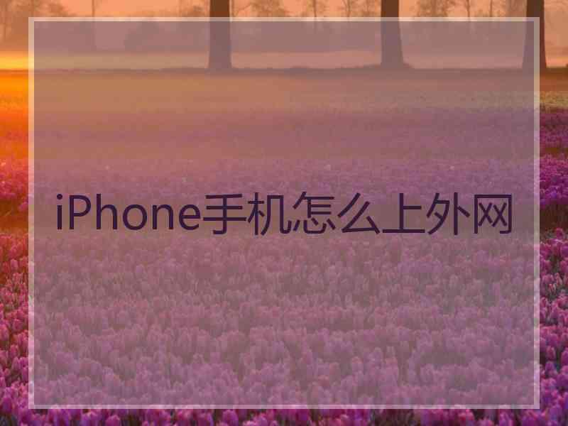 iPhone手机怎么上外网