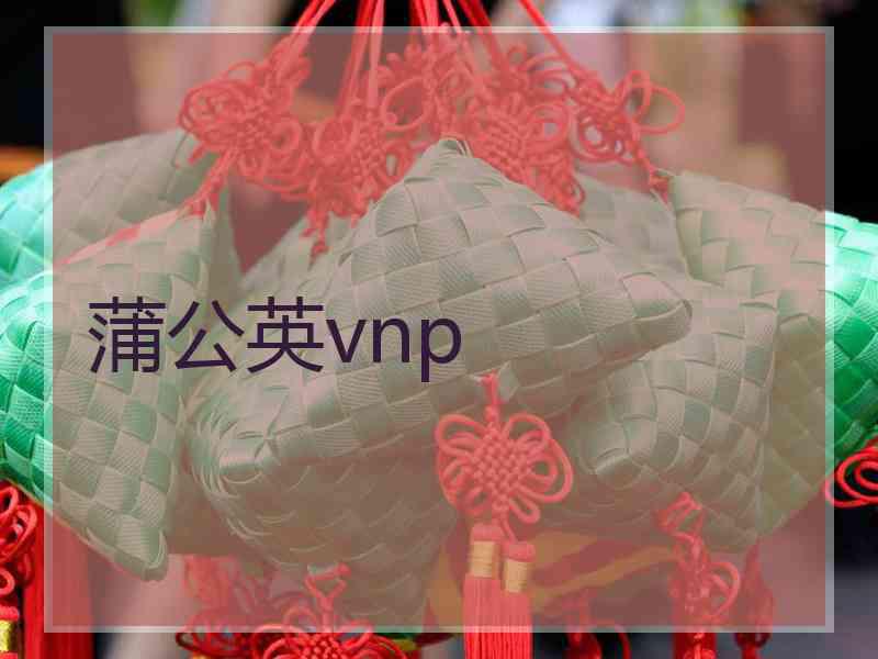 蒲公英vnp