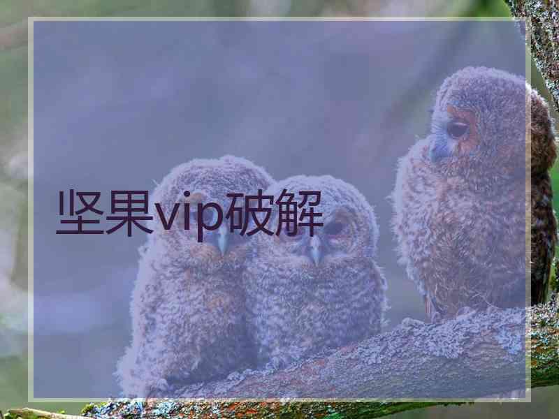 坚果vip破解