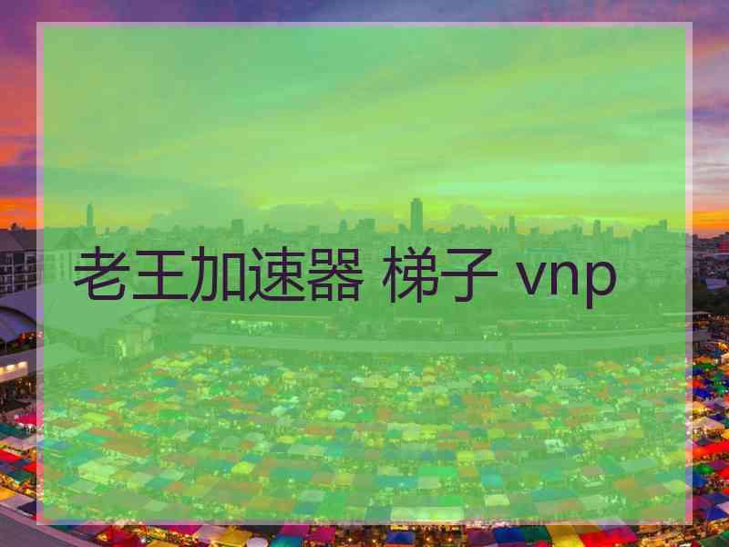 老王加速器 梯子 vnp