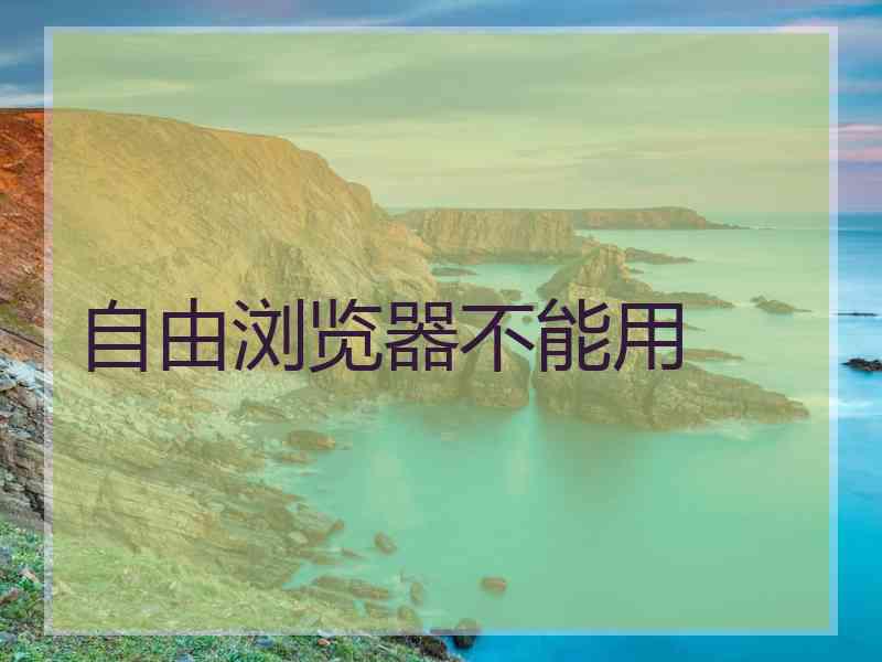 自由浏览器不能用