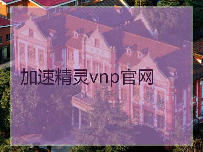 加速精灵vnp官网