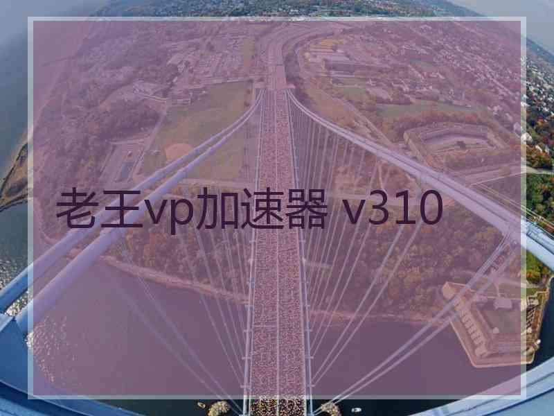 老王vp加速器 v310