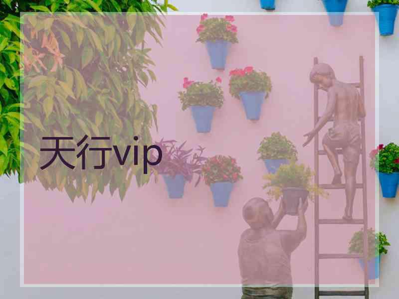 天行vip