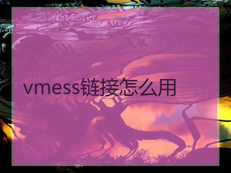 vmess链接怎么用