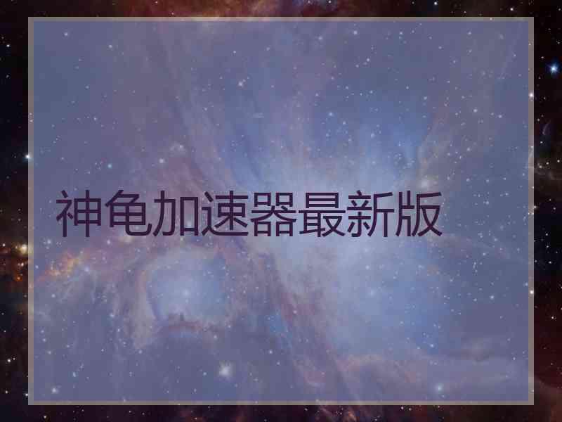 神龟加速器最新版