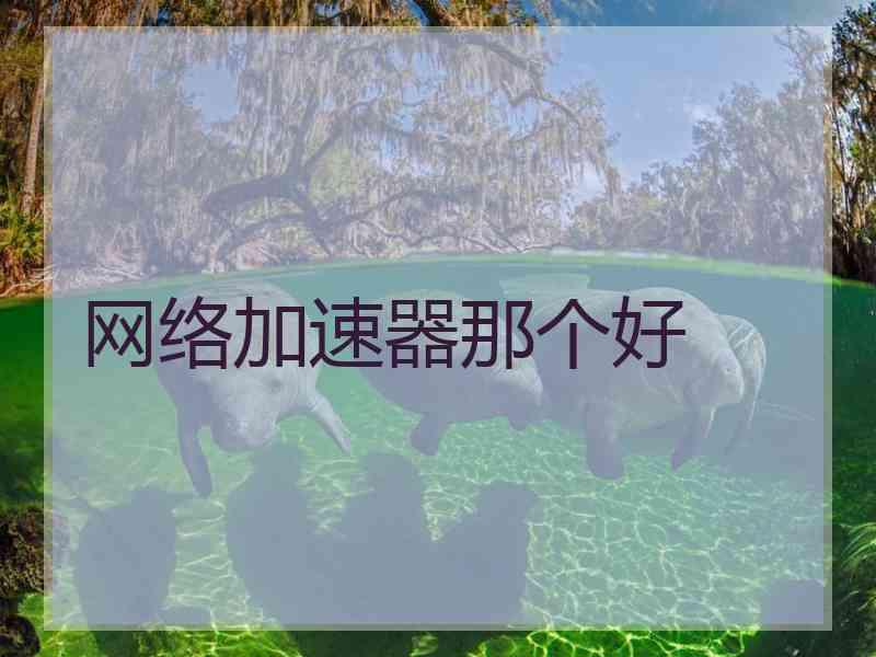 网络加速器那个好