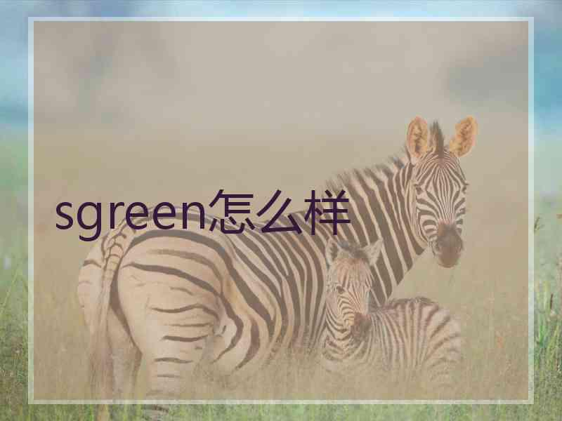 sgreen怎么样