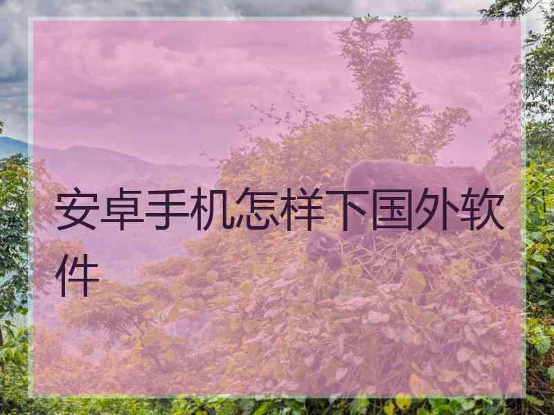 安卓手机怎样下国外软件