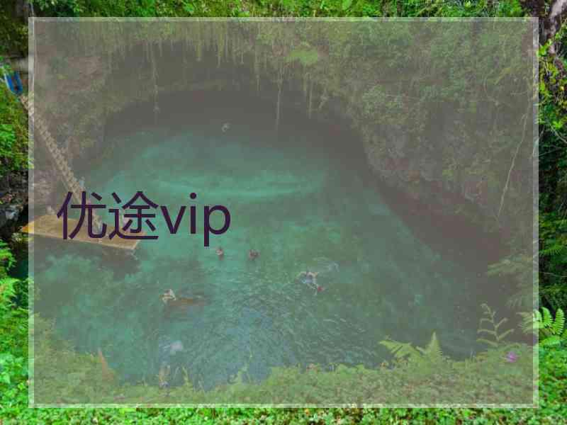 优途vip