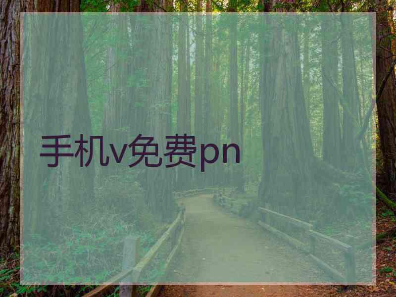 手机v免费pn