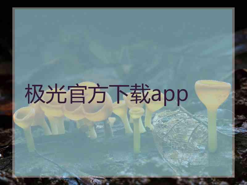 极光官方下载app