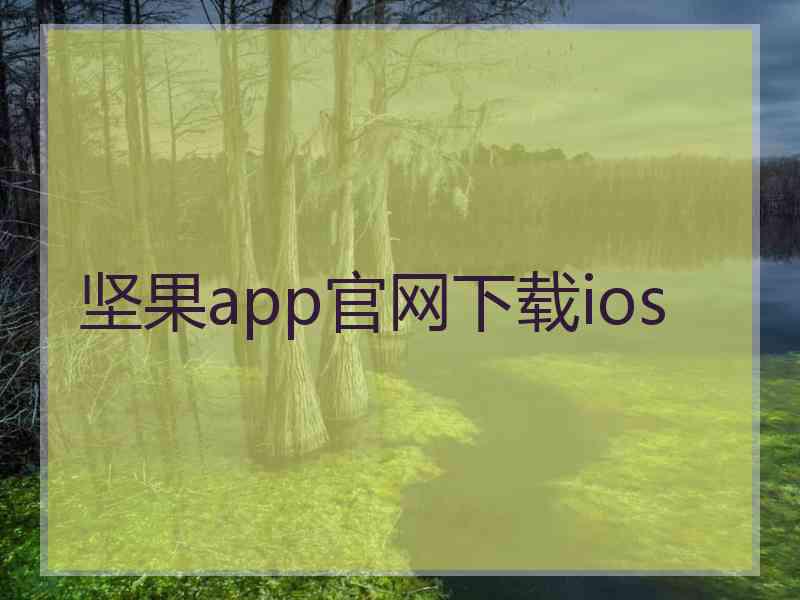 坚果app官网下载ios