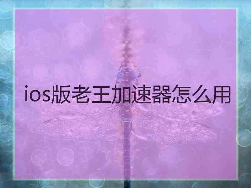 ios版老王加速器怎么用