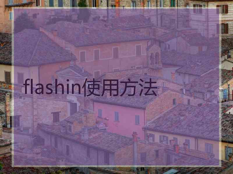 flashin使用方法