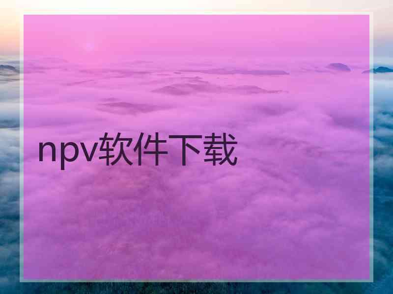 npv软件下载