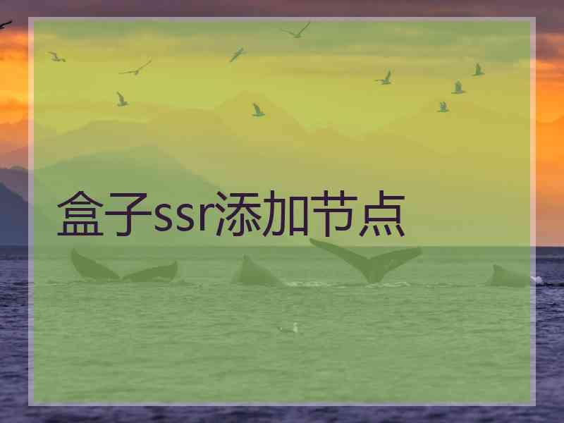 盒子ssr添加节点