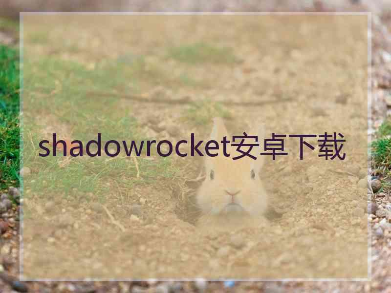 shadowrocket安卓下载