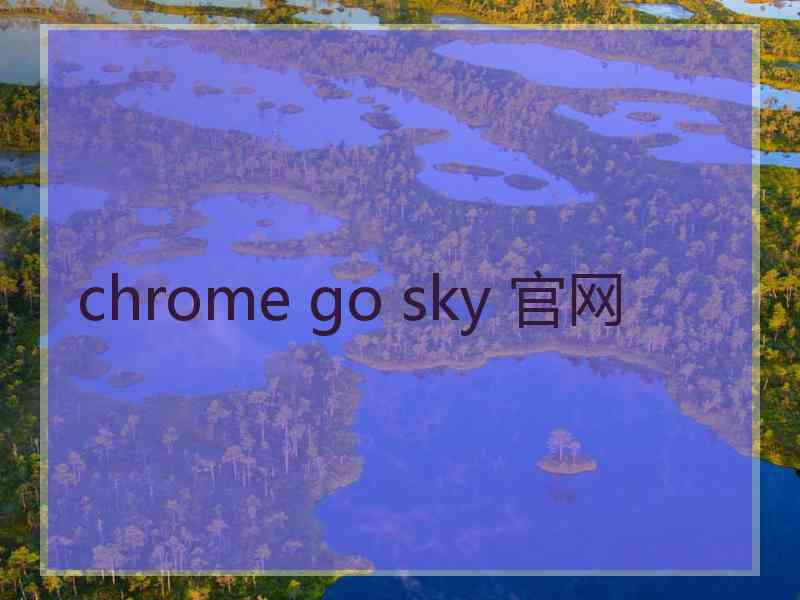 chrome go sky 官网