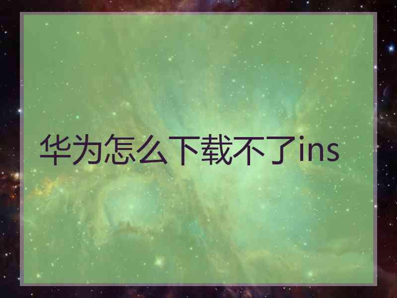 华为怎么下载不了ins