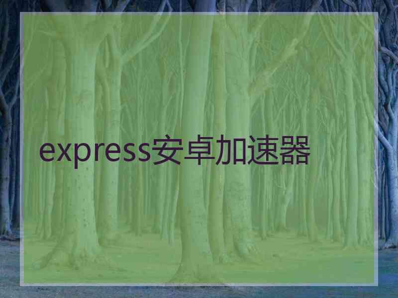 express安卓加速器