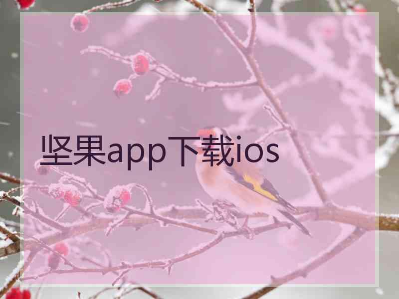 坚果app下载ios