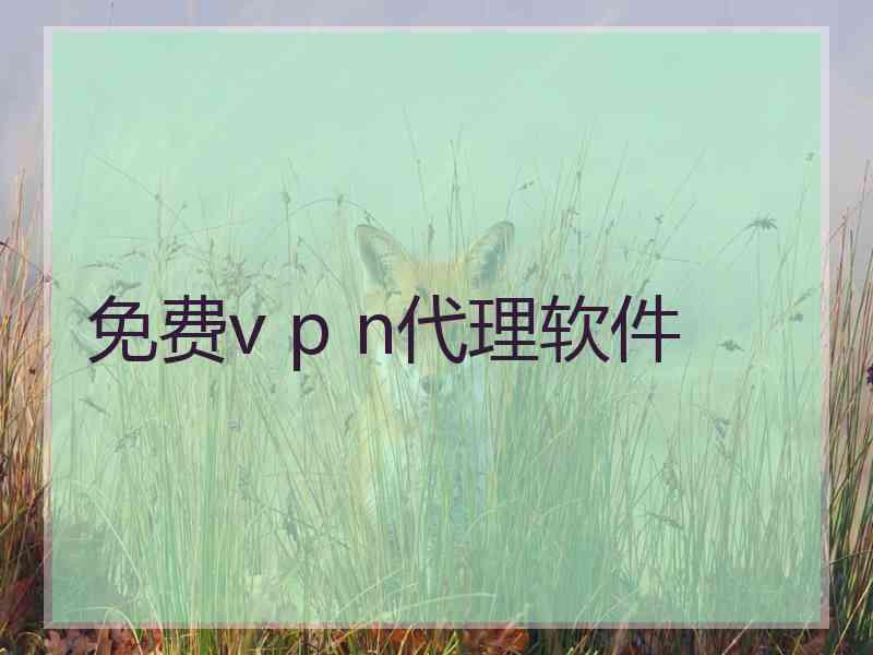 免费v p n代理软件