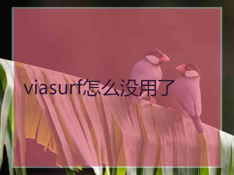 viasurf怎么没用了