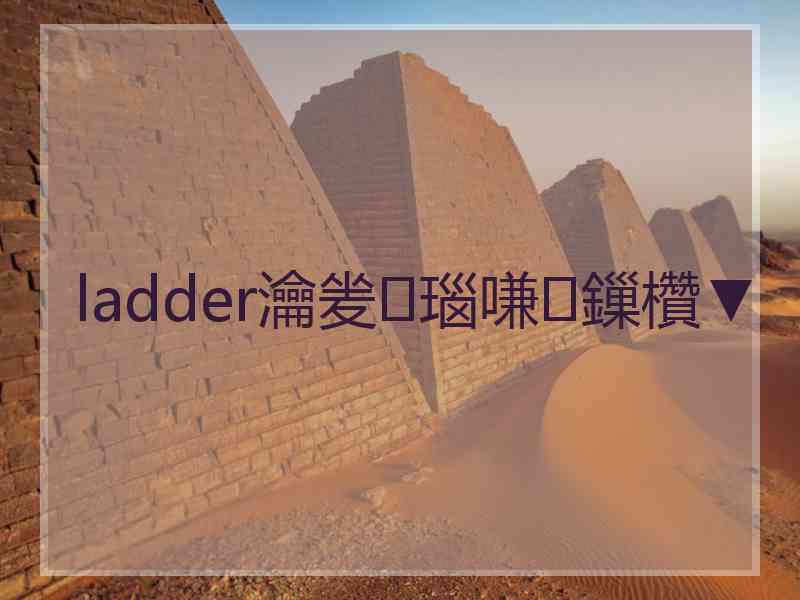 ladder瀹夎瑙嗛鏁欑▼