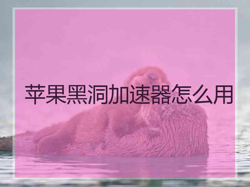 苹果黑洞加速器怎么用