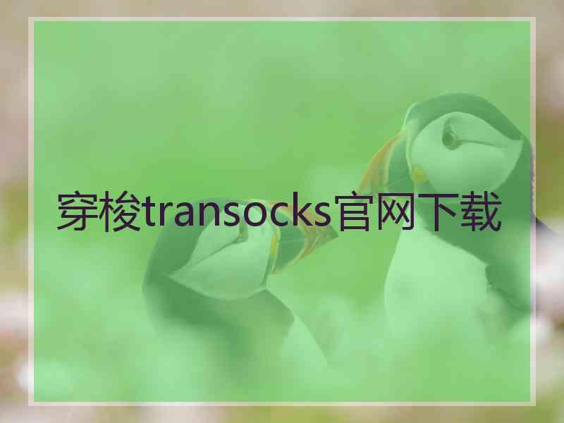 穿梭transocks官网下载